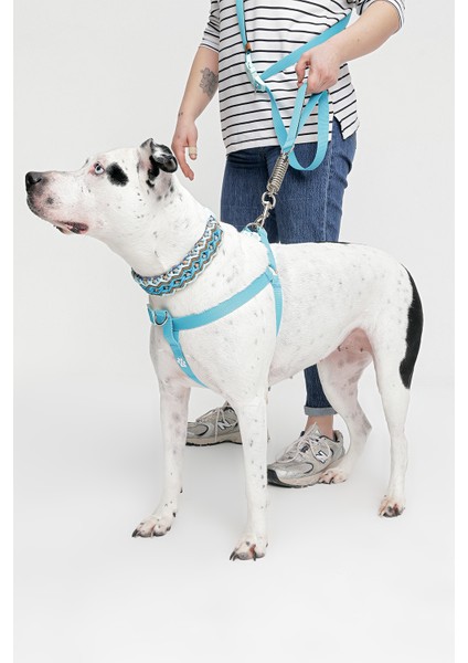 Handmade Premium Paracord Örgü Boyun Tasması