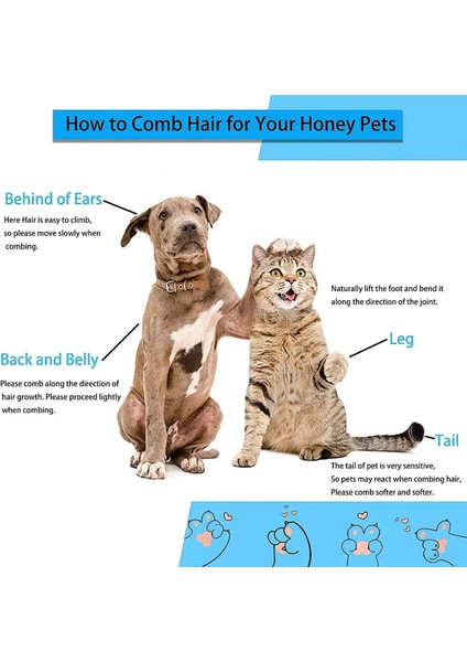Köpek Tüyü Çıkarıcı Fırça Kedi Köpek Saçı Uzun Saçlar Içın Tımar ve Bakım Tarak Köpek Evcil Hayvan Tüyleri Temizleme Banyo Fırçası Köpek Malzemeleri (Yurt Dışından) fırsatları