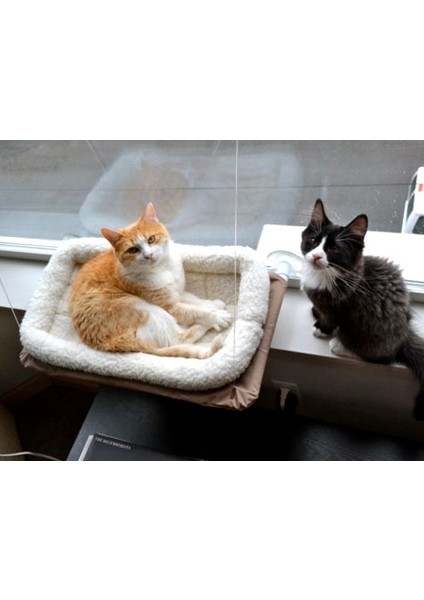 Seat Cama Asılan Kedi Yatağı modelleri
