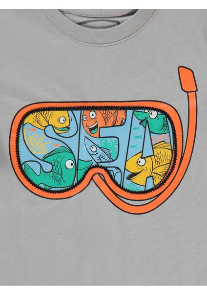 Erkek Çocuk Tişört 2-5 Yaş Gri modelleri