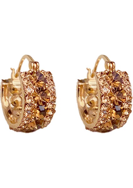 Niş Tasarımlı Zarif Kahverengi Zirkon Küpeler, Modaya Uygun ve Üst Düzey Internet Ünlü Küpeleri (Yurt Dışından)