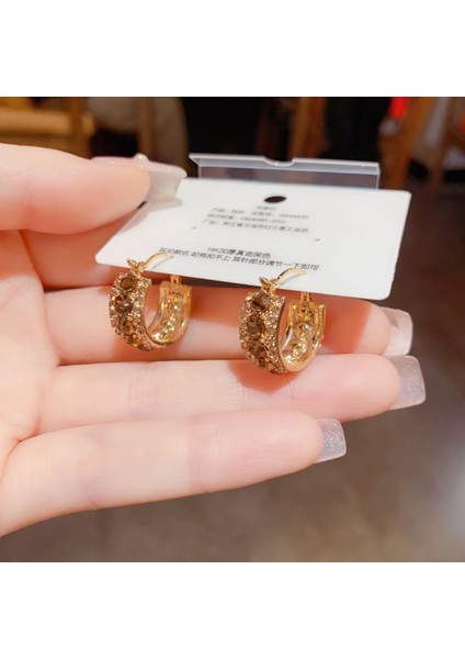 Niş Tasarımlı Zarif Kahverengi Zirkon Küpeler, Modaya Uygun ve Üst Düzey Internet Ünlü Küpeleri (Yurt Dışından) fiyatları