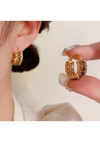 Niş Tasarımlı Zarif Kahverengi Zirkon Küpeler, Modaya Uygun ve Üst Düzey Internet Ünlü Küpeleri (Yurt Dışından) fırsatları