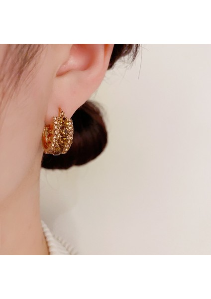 Niş Tasarımlı Zarif Kahverengi Zirkon Küpeler, Modaya Uygun ve Üst Düzey Internet Ünlü Küpeleri (Yurt Dışından) indirimleri