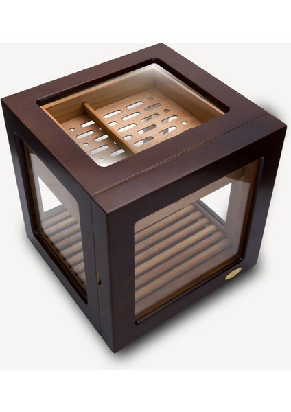 Cam Küp Cedar Tepsili Puro Kutusu Humidor 40s