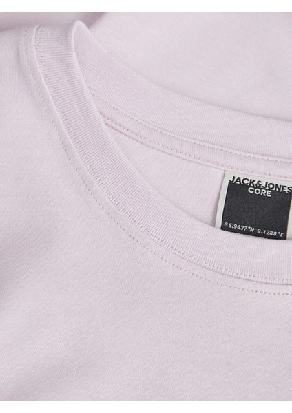 O Yaka Baskılı Kısa Kollu Pembe Erkek T-Shirt 12253380 fiyatları