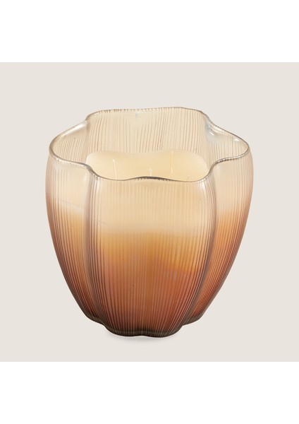 Leon Mumluk 20X19 cm Pudra