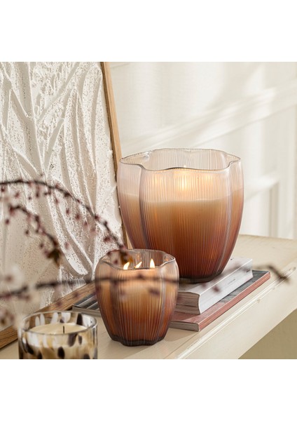 Leon Mumluk 20X19 cm Pudra fiyatları