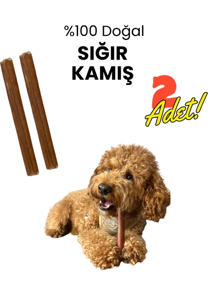 %100 Doğal Sığır Kamış 2 Adet Köpek Çiğneme Çubuğu Kurutulmuş Taze Dana Kamış Köpek Ödülü