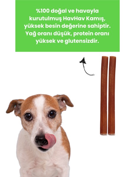 %100 Doğal Sığır Kamış 2 Adet Köpek Çiğneme Çubuğu Kurutulmuş Taze Dana Kamış Köpek Ödülü