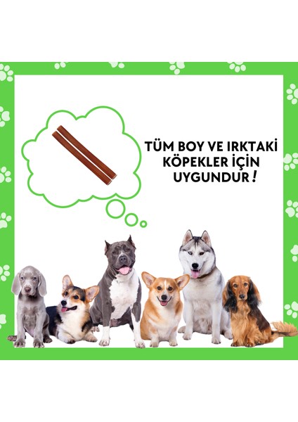 %100 Doğal Sığır Kamış 2 Adet Köpek Çiğneme Çubuğu Kurutulmuş Taze Dana Kamış Köpek Ödülü