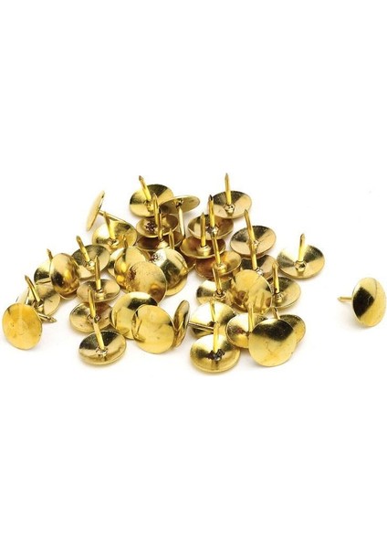 Raptiye Gold S48GR*40
