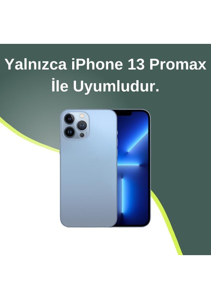 iPhone 13 Promax Uyumlu Lüks Gümüş Yıldızlı Taşlı Kılıf