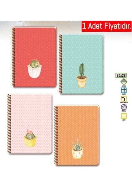 Saguaro Spiralli Sert Kapak Defter 20X28 100-1 Yaprak Çizgili