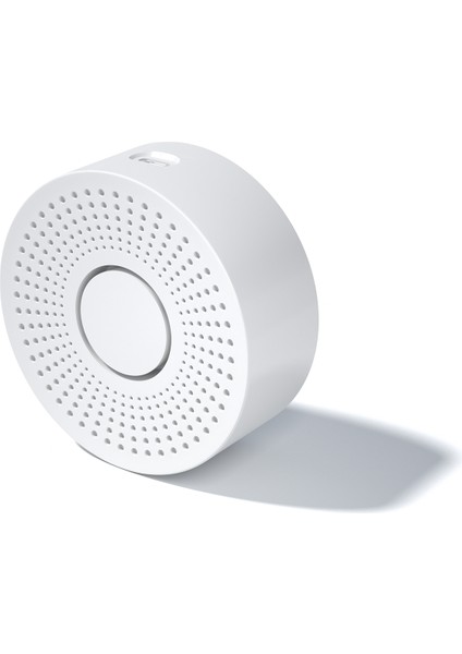 Ev Güvenlik Sistemi Wifi Tuya App Izleme Bildirimleri (Yurt Dışından)