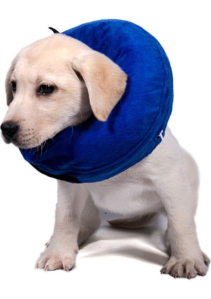 Ameliyat Sonrası Için Yumuşak Evcil Hayvan Kurtarma (Yurt Dışından) fırsatları