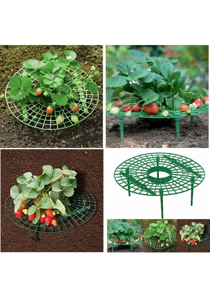 5 Adet Plastik Çilek Geliştirme Standı fiyatları