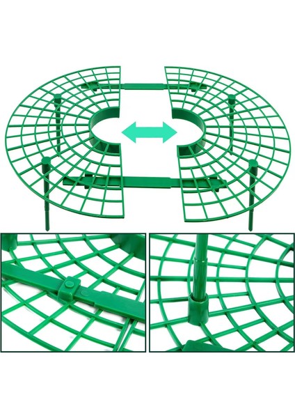 5 Adet Plastik Çilek Geliştirme Standı modelleri