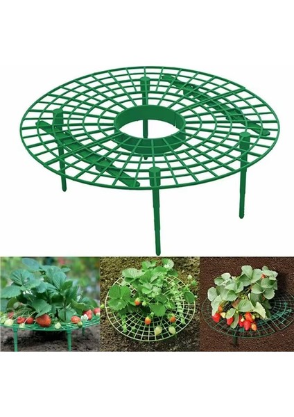 5 Adet Plastik Çilek Geliştirme Standı indirimleri