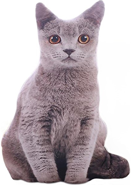 50 cm Simülasyon Kedi Yumuşak Dolması Gerçekçi Yastık - Kanepe Dekor Karikatür Peluş (Gri) (Yurt Dışından)