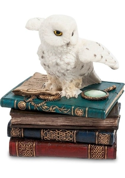 Wıse Baykus Kutu 10*9*12 CM-WU75511AA modelleri