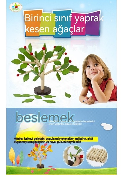 Taşıyıcı Ahşap Montaj Yürümeye Başlayan Erken Eğitim Dıy El Yapımı Üç Boyutlu Yapı Taşı Montaj Yaprak Oyuncak Yeşil (Yurt Dışından)
