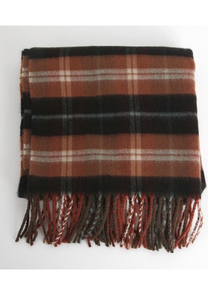 Aynı Ekose Sıcak Kış Trendi Eşarp Erkekler Taklit Kaşmir Eşarp Lüks Tasarımcı Eşarplar ile Kadın Moda Blogcusu (Yurt Dışından)