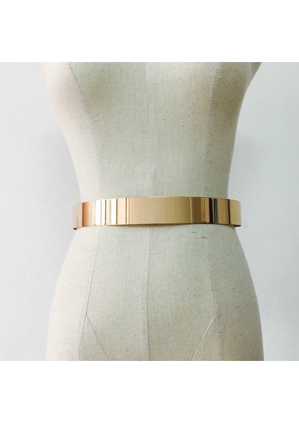 Moda Kadın Ayarlanabilir Tasarımcı Metal Bel Kemeri Bling Altın Gümüş Renk Plaka Vintage Bayanlar Basit Kemerler Ayna Kemer (Yurt Dışından) fiyatları