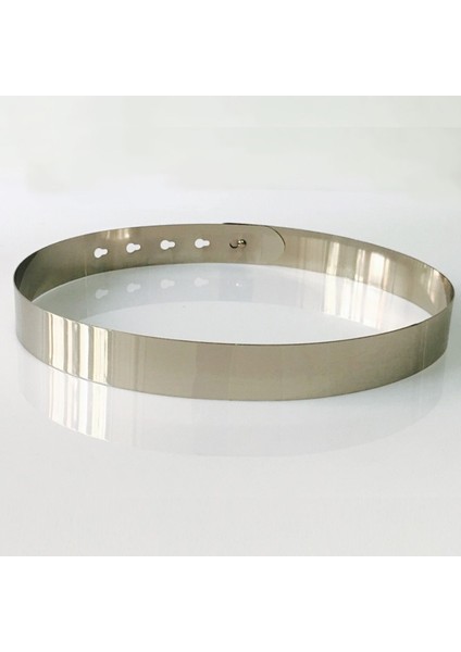 Moda Kadın Ayarlanabilir Tasarımcı Metal Bel Kemeri Bling Altın Gümüş Renk Plaka Vintage Bayanlar Basit Kemerler Ayna Kemer (Yurt Dışından) fırsatları