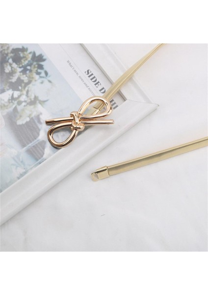 Sıcak Kek Gibi Satmak Kadınlar Için Metal Yaprak Zincir Elastik Kemerler Gümüş Bel Zincir Elbise Dekore Kadın Kemerleri Çeşitli Stiller (Yurt Dışından)