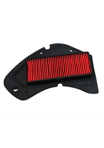 Ramzey RM125T-D Hava Filtre Elemanı