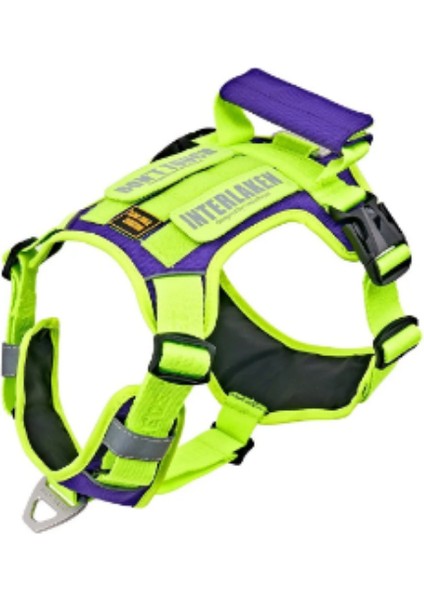 Köpek Harness Koşum Takımı Hafif Küçük ve Büyük Köpekler Uzanma Önleyici Göğüs Tasması 2.0