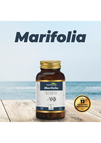 Marifolia 6 / 30 Kapsül 800mg - Mürver Çiçeği İçeren Takviye Edici Gıda