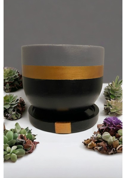 Orta Boy(1,5litre) Özel Tasarım Saksı Tabak Ağaç Saksısı Yuvarlak Oval Tasarım Saksılar fiyatları