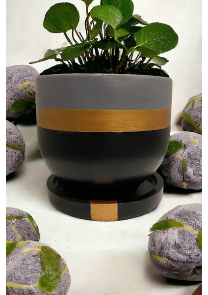 Orta Boy(1,5litre) Özel Tasarım Saksı Tabak Ağaç Saksısı Yuvarlak Oval Tasarım Saksılar modelleri