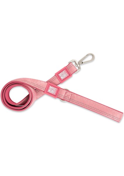 2.0 Köpek Gezdirme Kayışı - Rose (L)