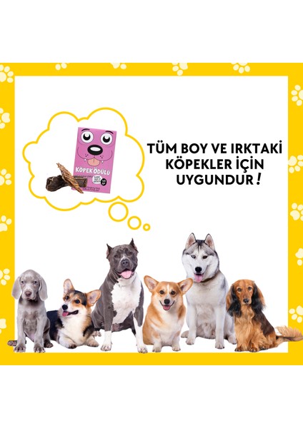 Doğal Köpek Ödül Maması 4 Adet Katkısız Köpek Ödül Maması Seti Kurutulmuş Et Sığır Çubuk Çerez 4X50 gr