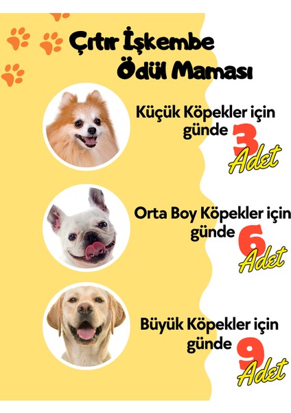 Doğal Köpek Ödül Maması 4 Adet Katkısız Köpek Ödül Maması Seti Kurutulmuş Et Çıtır Işkembe 4X50 gr