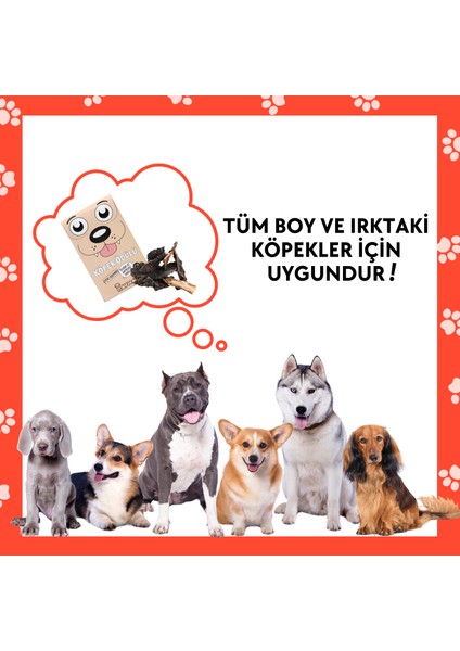 Doğal Köpek Ödül Maması 4 Adet Katkısız Köpek Ödül Maması Seti Kurutulmuş Et Çıtır Işkembe 4X50 gr