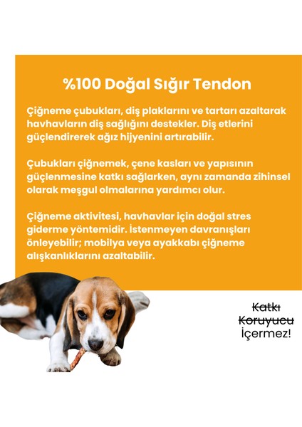 Köpek Ödül Maması Seti Doğal Katkısız 2 Adet Köpek Ödül Maması 2 Adet Köpek Çiğneme Çubuğu indirimleri