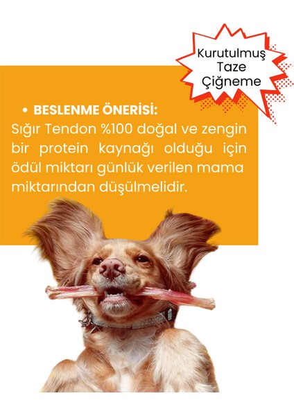 Köpek Ödül Maması Seti Doğal Katkısız 2 Adet Köpek Ödül Maması 2 Adet Köpek Çiğneme Çubuğu