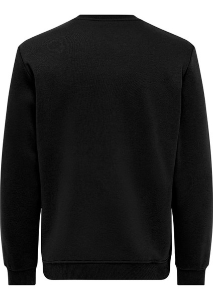 Erkek Bisiklet Yaka Sweatshirt - 22029226