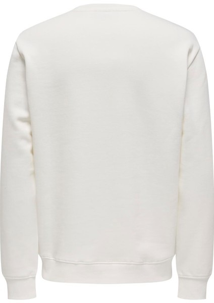 Erkek Bisiklet Yaka Sweatshirt - 22029226