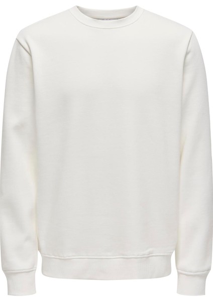 Erkek Bisiklet Yaka Sweatshirt - 22029226