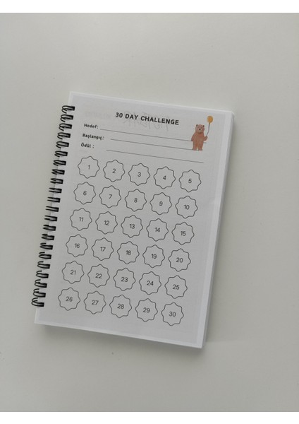 Konuşan Ajanda My Planner Spiralli Defter Ajanda modelleri