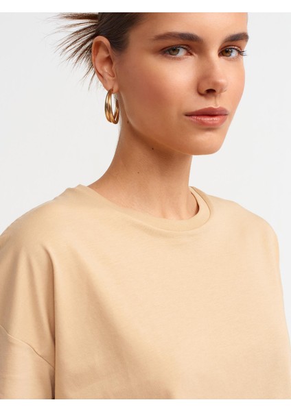 3683 DİLVİN T-SHIRT BASİC modelleri