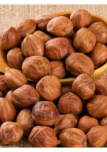 Fındık Kabuğunda Kavrulmuş Çıtlamış Kavrulmuş Iri Taneli Büyük Boy Kavrulmuş 50G