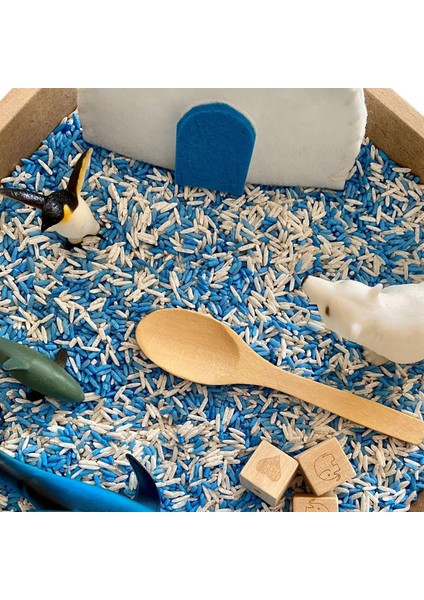 Eğitici Ahşap Oyuncak - Montessori Etkinlik Seti -Kutuplar modelleri
