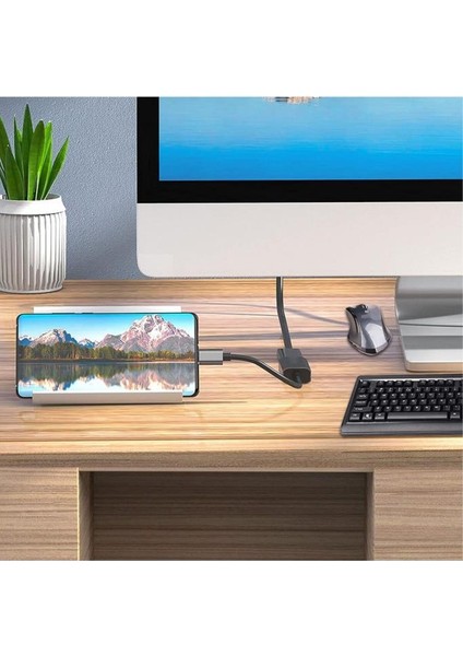 Type-C To Displayport Adaptör USB C Dp Çevirici Notebook Pc Bilgisayar Uyumlu