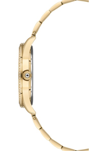 NC34-39B677-DBMS Kadın Kol Saati fırsatları